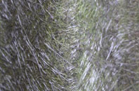 Mossgate fibreglass roof work