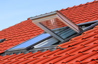 Mossgate roof window